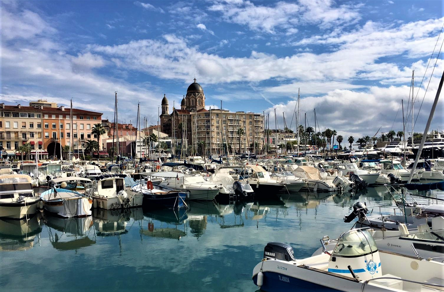 boats in the harbor